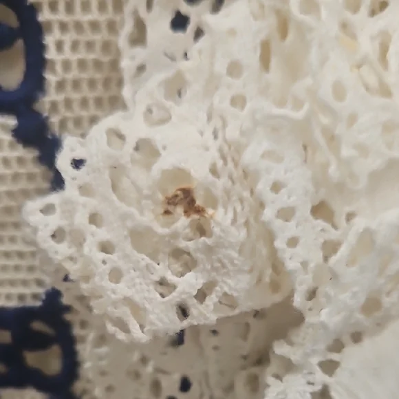 Gucci Cream & Navy Monogram Lace-Front Dress Coat with Red Trim - Picture 4 of 9